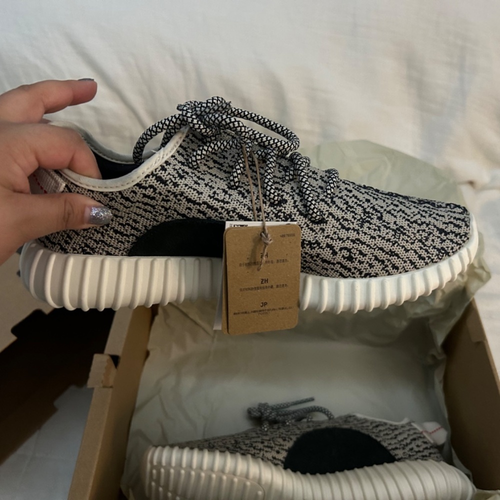 Yeezy Boost 350 Turtle - Picture 8 of 14